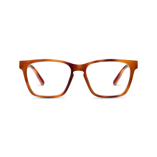 Tavern - Blonde Tortoise banner