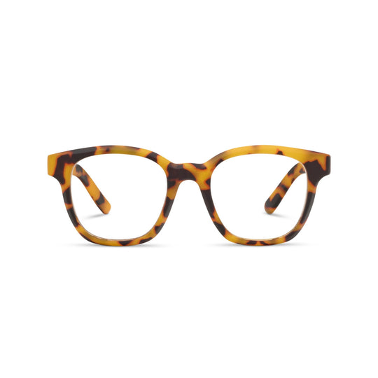 Zinnia - Tokyo Tortoise banner